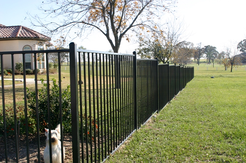 Ranger Residential Iron Fence Panel